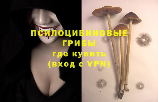 экстази Медногорск