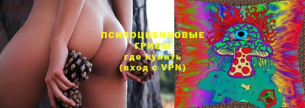 сатива Мегион